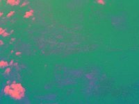 IMGP2907 edited (Medium)